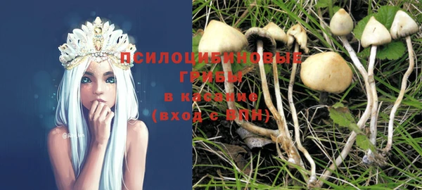 соль курить ск Бородино