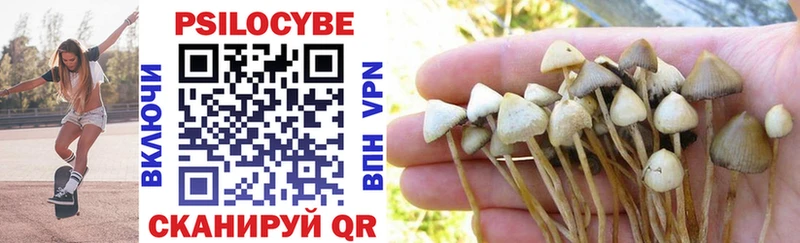 Псилоцибиновые грибы Psilocybine cubensis  Лобня 
